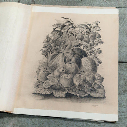 academic drawing sketchbook 1887