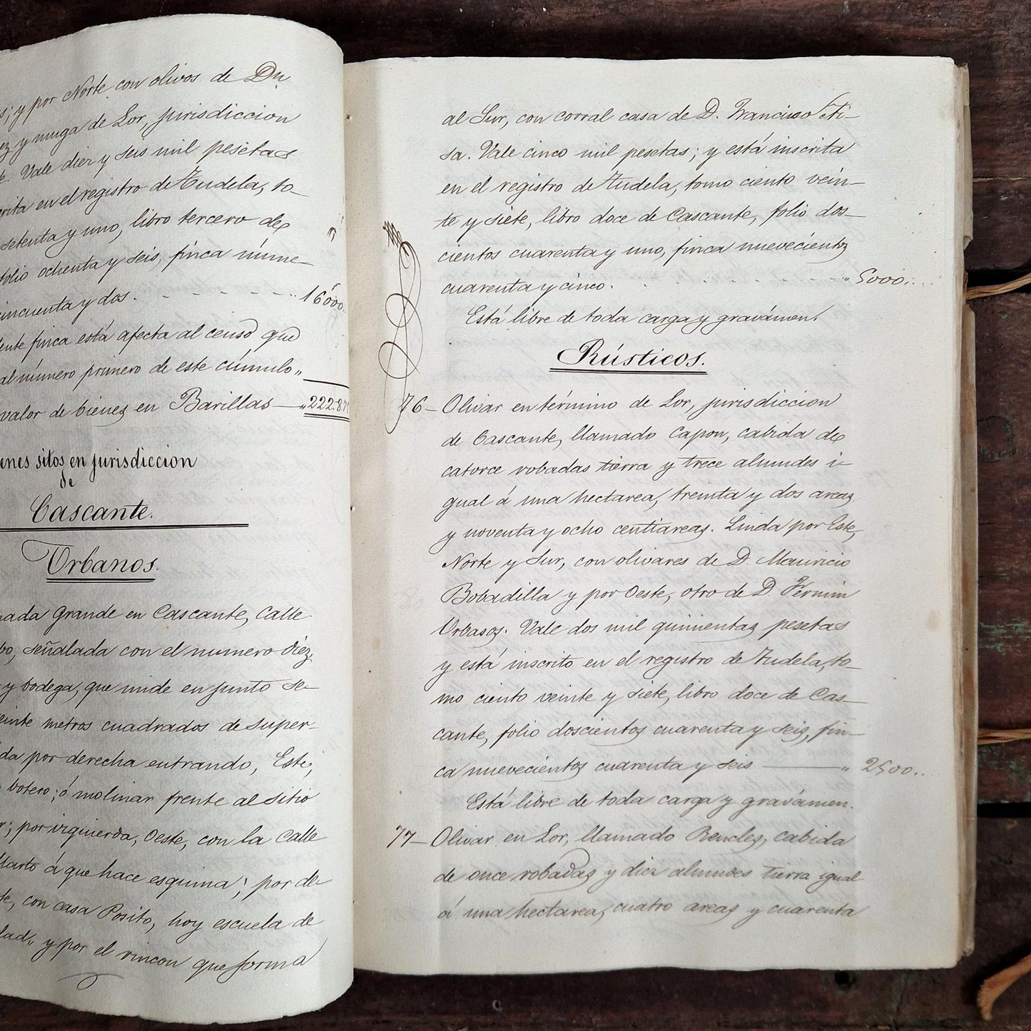 acte partage heredite bertodano navarre