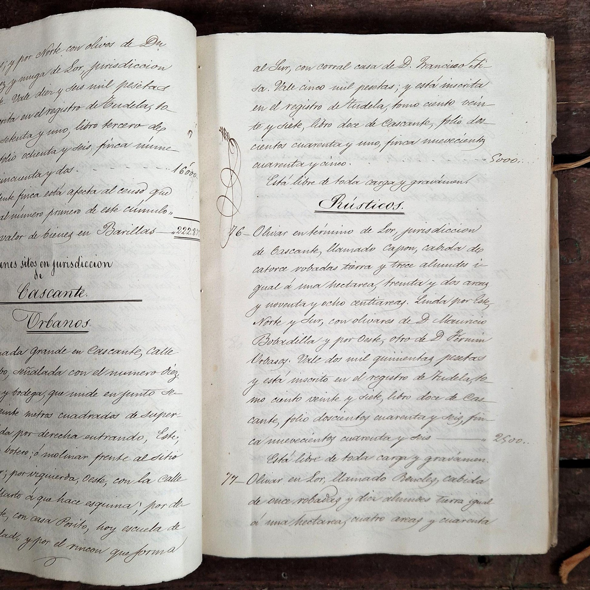 acte partage heredite bertodano navarre