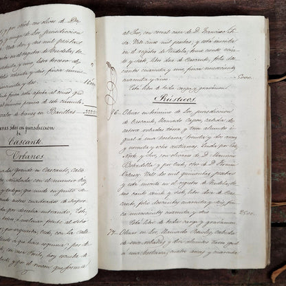 acte partage heredite bertodano navarre