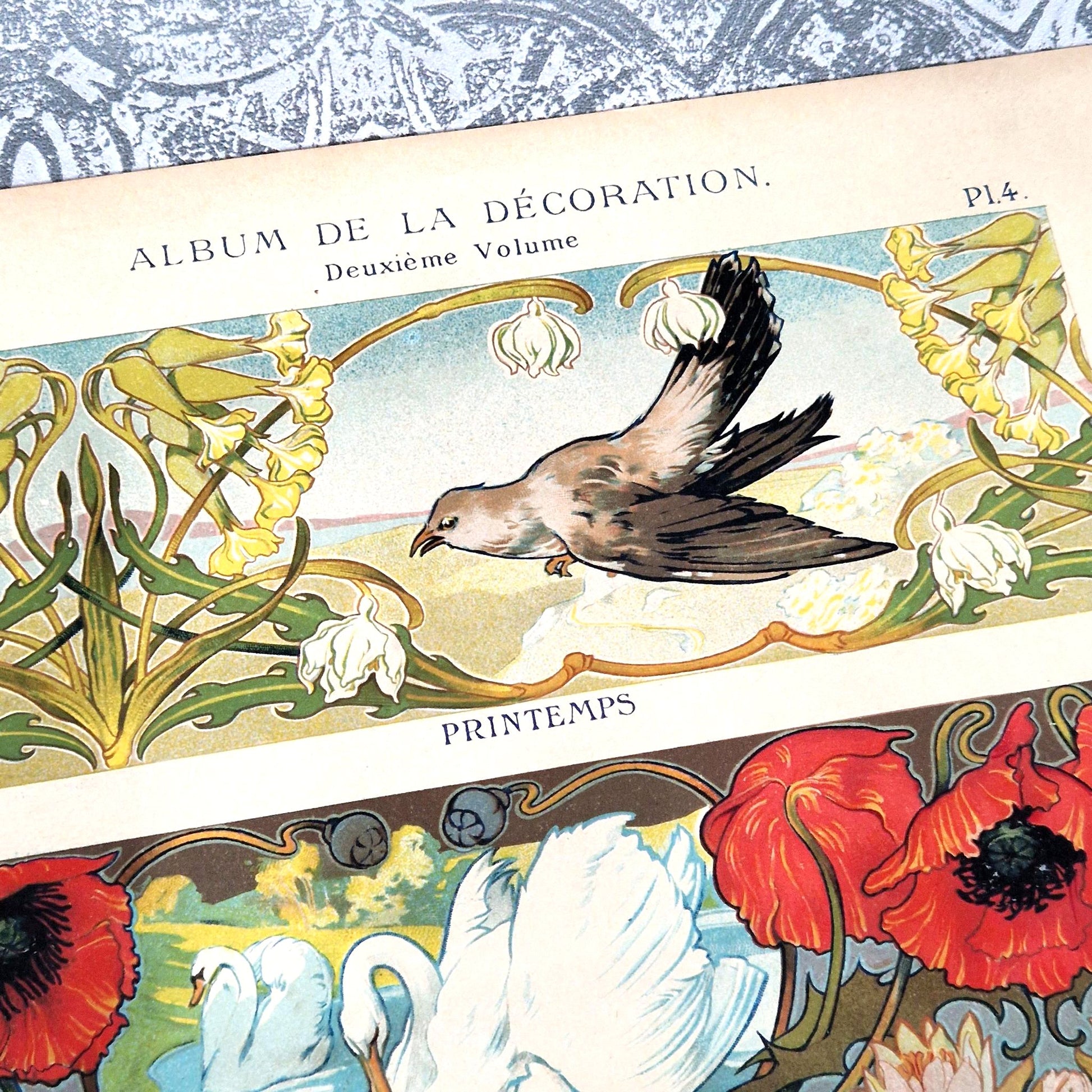 affiche decorative art nouveau oiseaux et fleurs