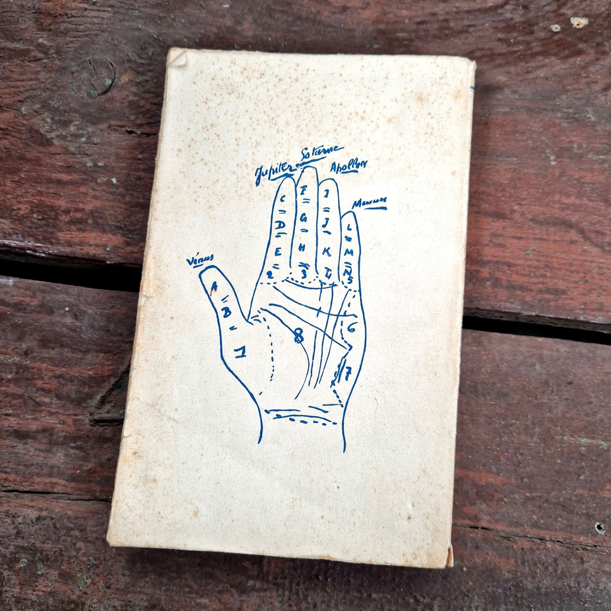 Aida Rabab, tarot hand reading