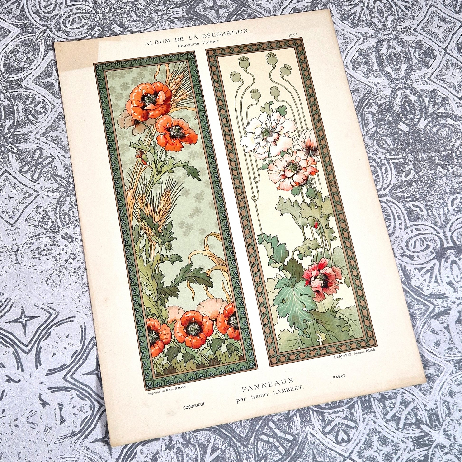 album decoration henry lambert planche fleurie