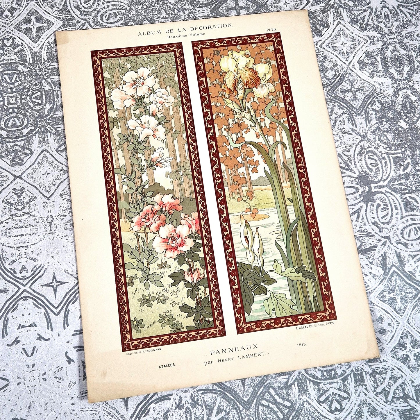 album decoration lambert planche florale