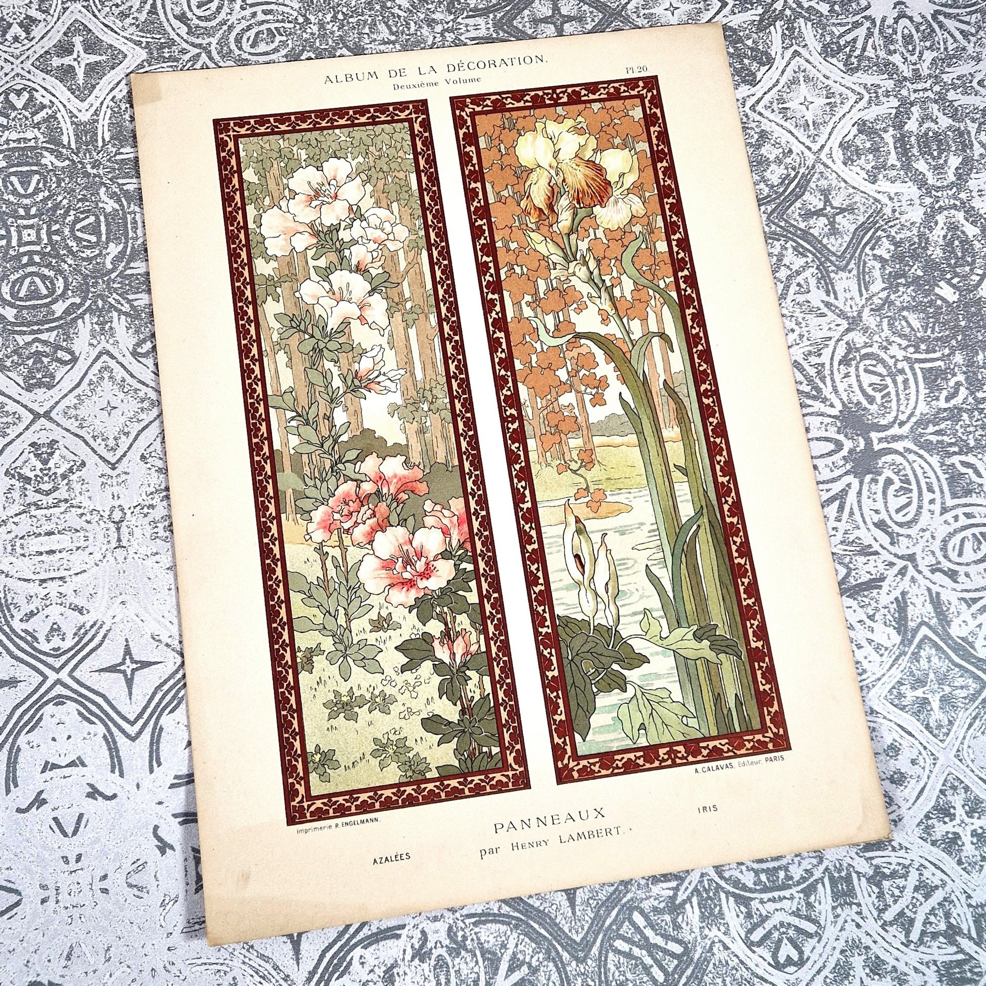 album decoration lambert planche florale