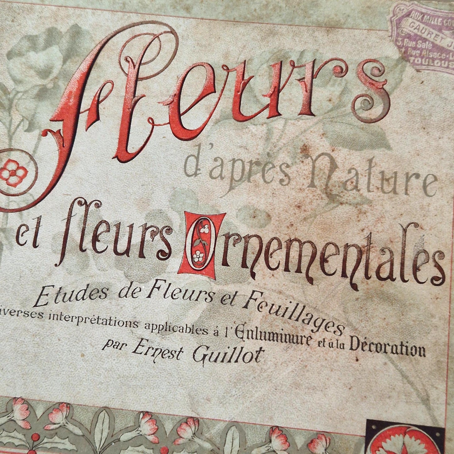 Flowers from Nature &amp; Ornamental Flowers - Ernest Guillot