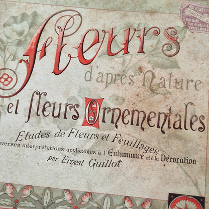 Flowers from Nature &amp; Ornamental Flowers - Ernest Guillot