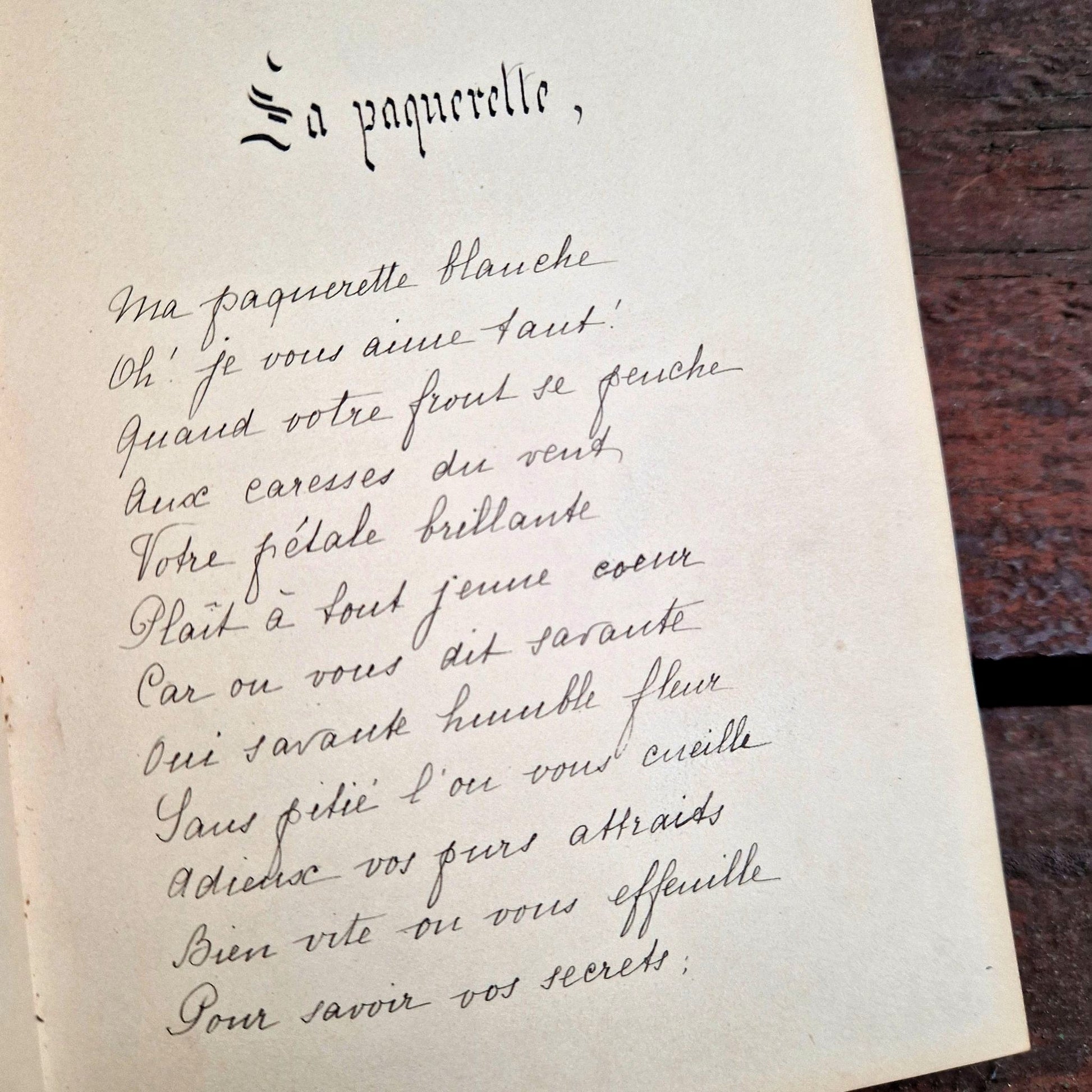 album xixe et dessin aquarelle fleurs