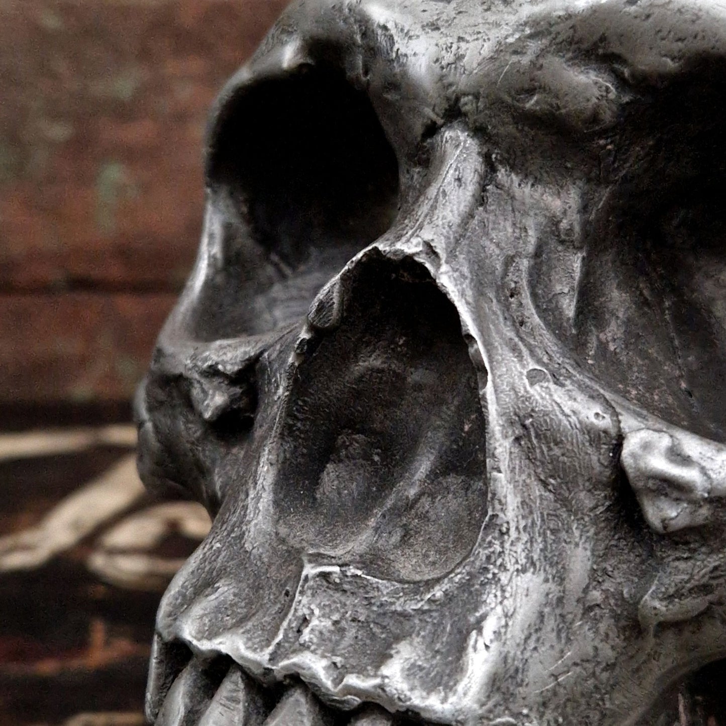 anatomical skull metal sculpture french