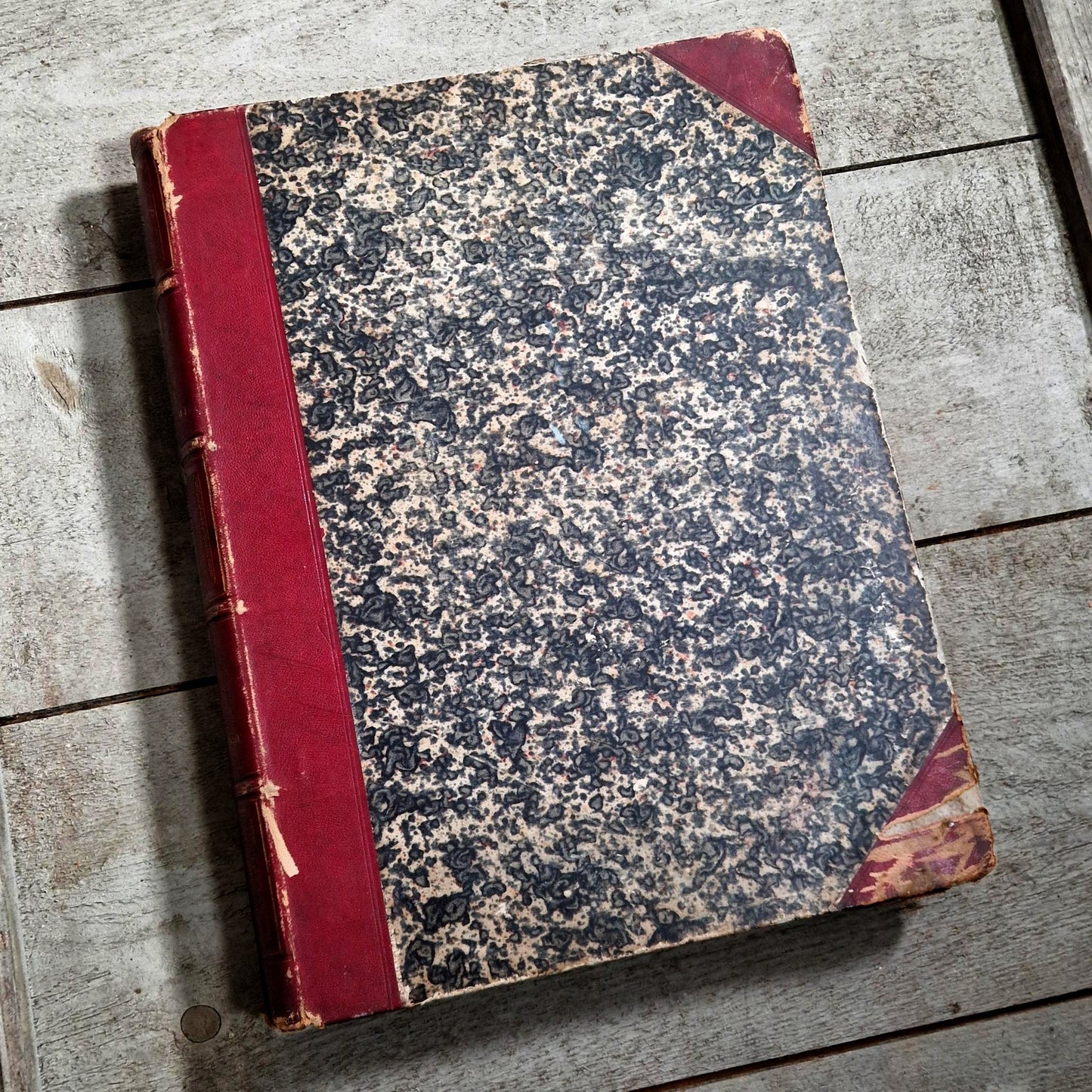 anatomie bourgery jacob myologie 1867