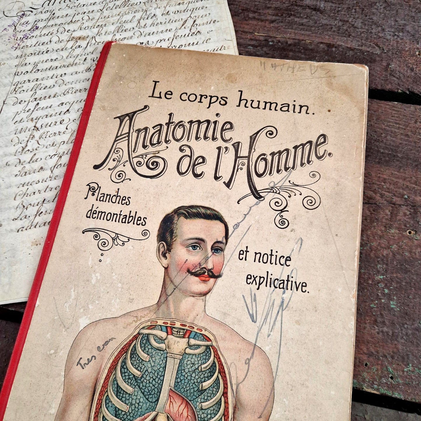 anatomie homme vigot freres paris