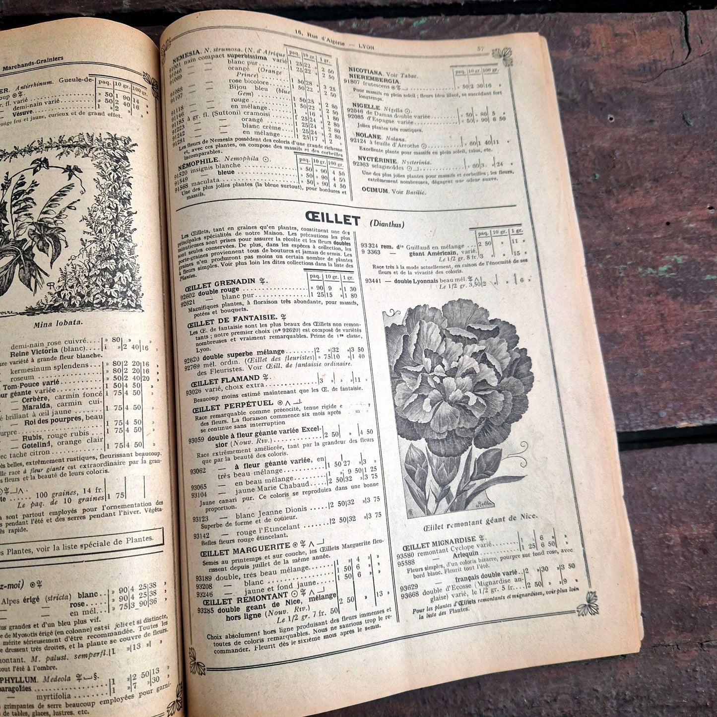 ancien catalogue horticole illustré rivoire