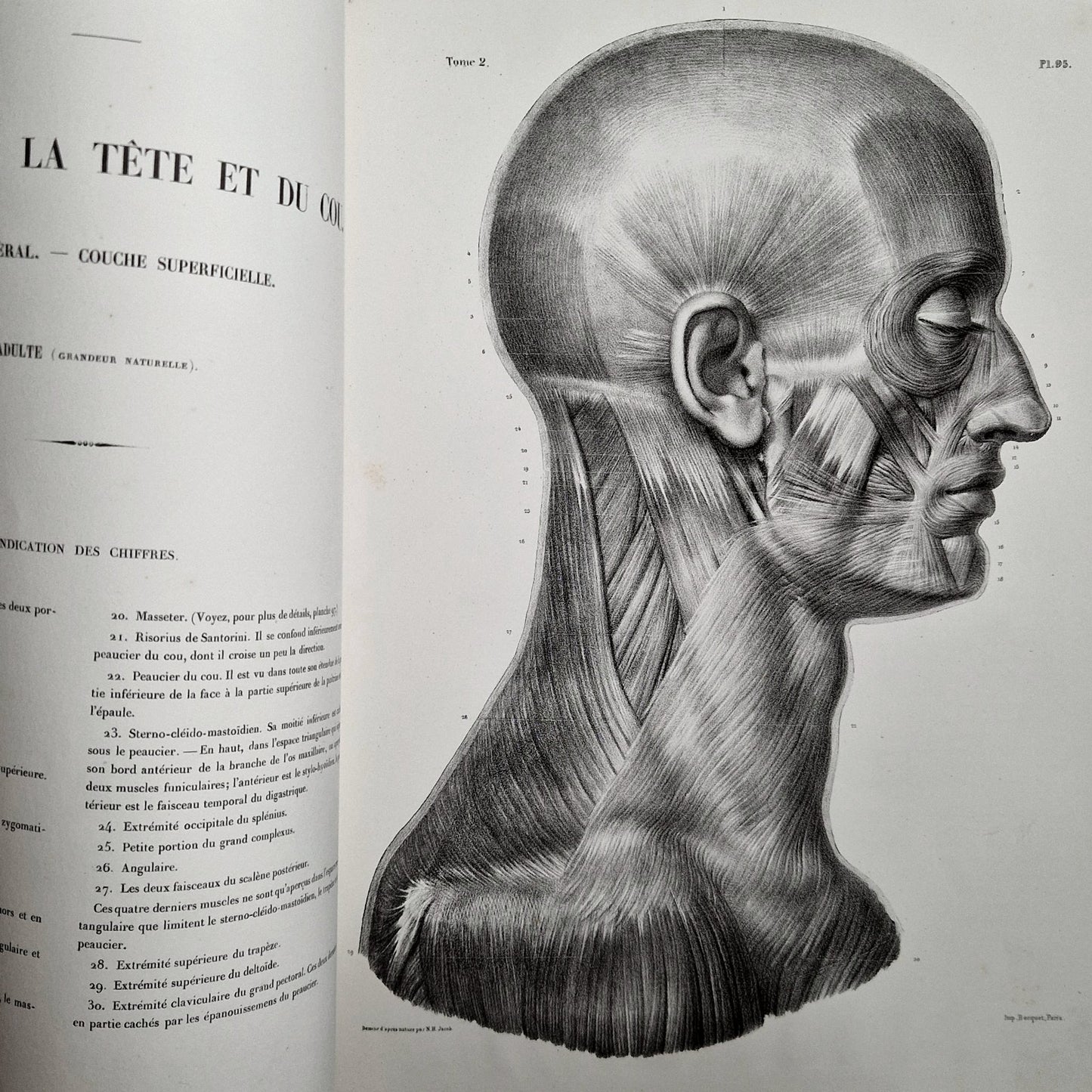 ancien livre medecine XIXe