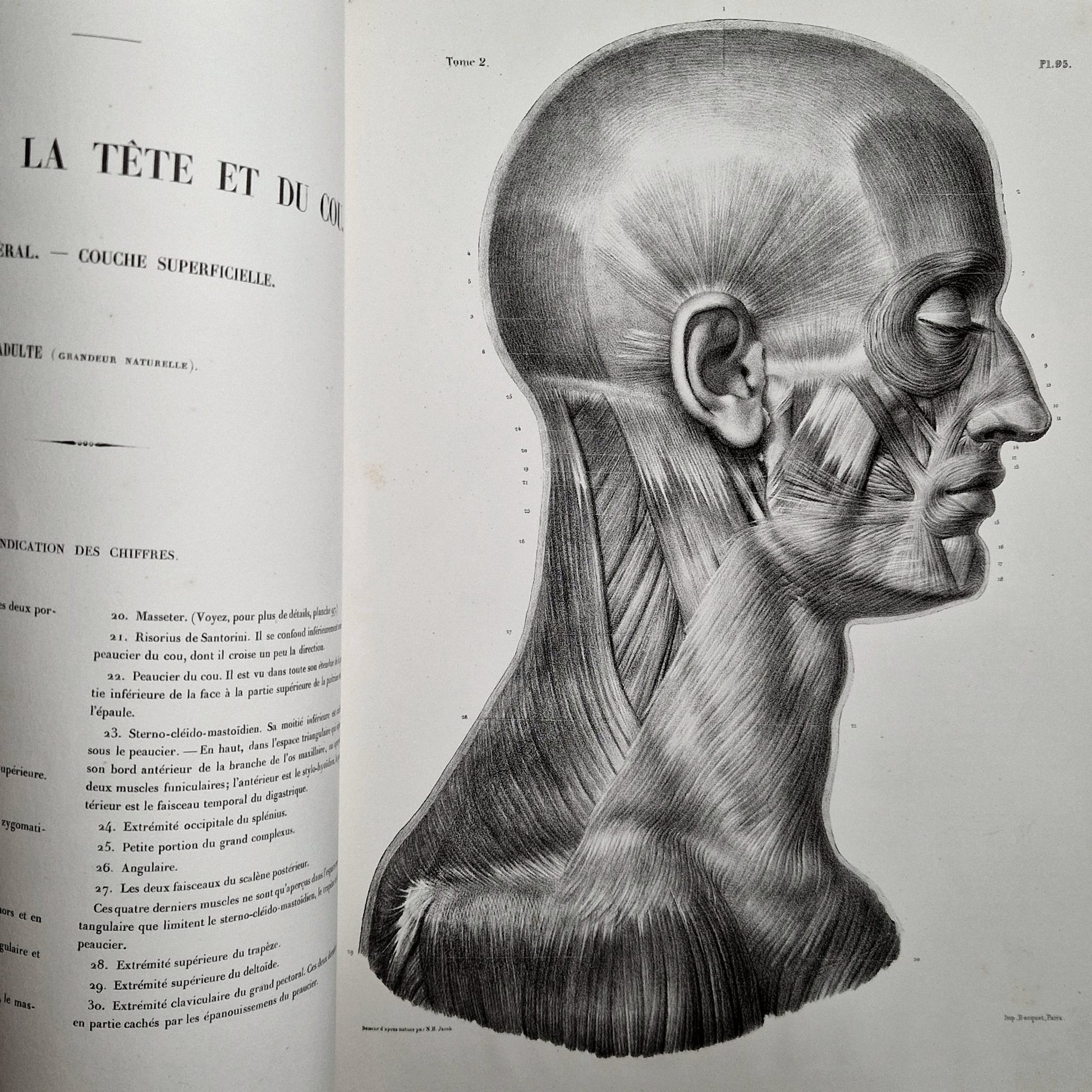 ancien livre medecine XIXe