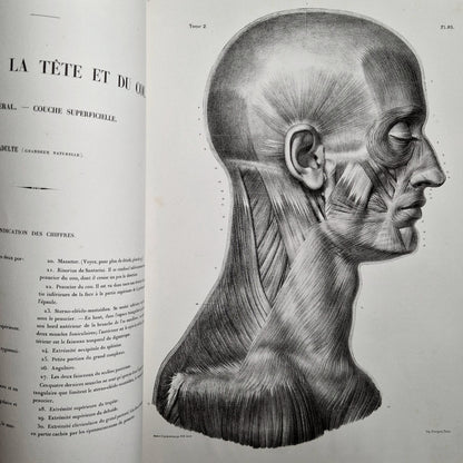 ancien livre medecine XIXe