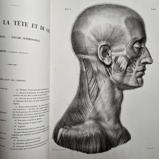 ancien livre medecine XIXe