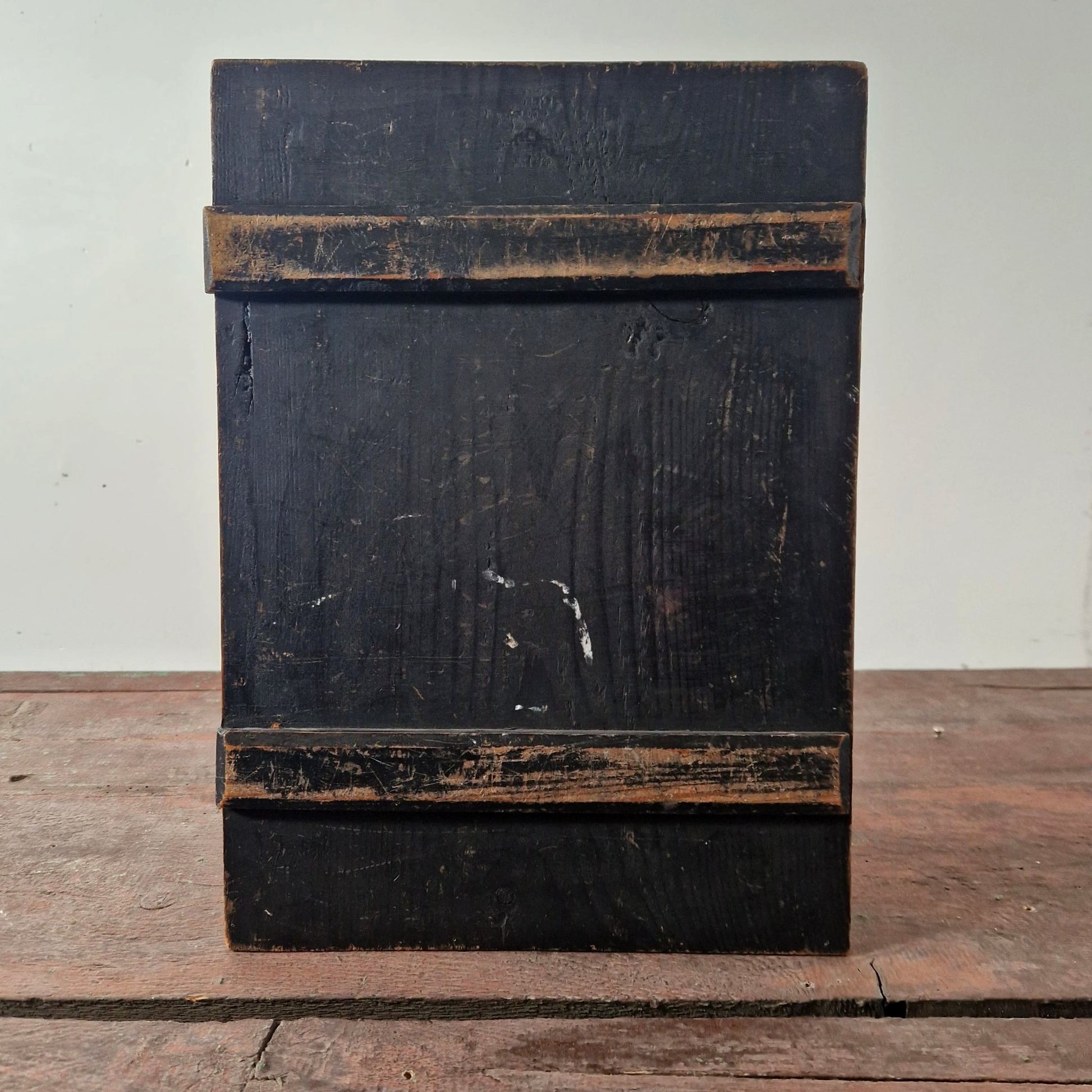 antique anatomical head muscles model