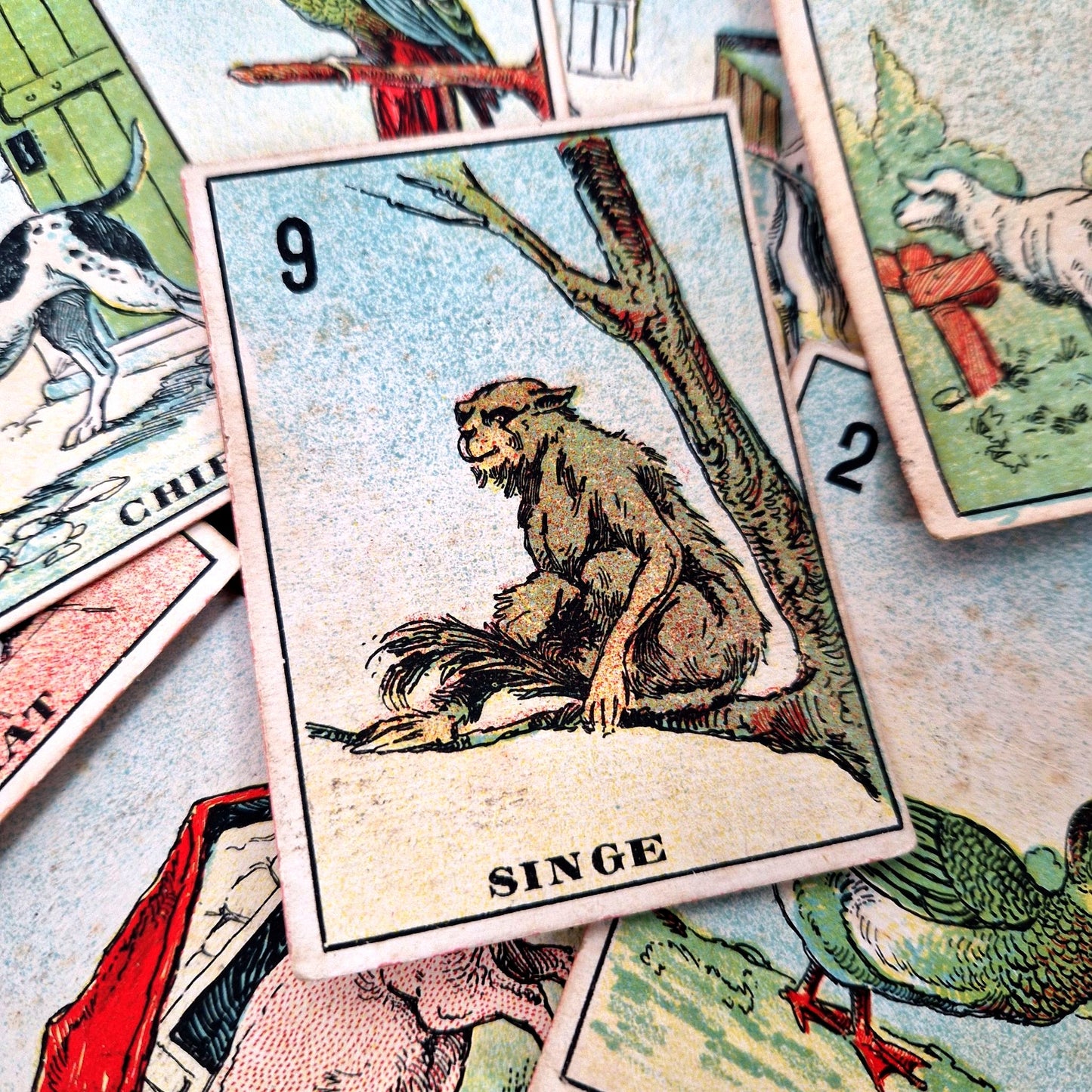 antique animal cards game 1900