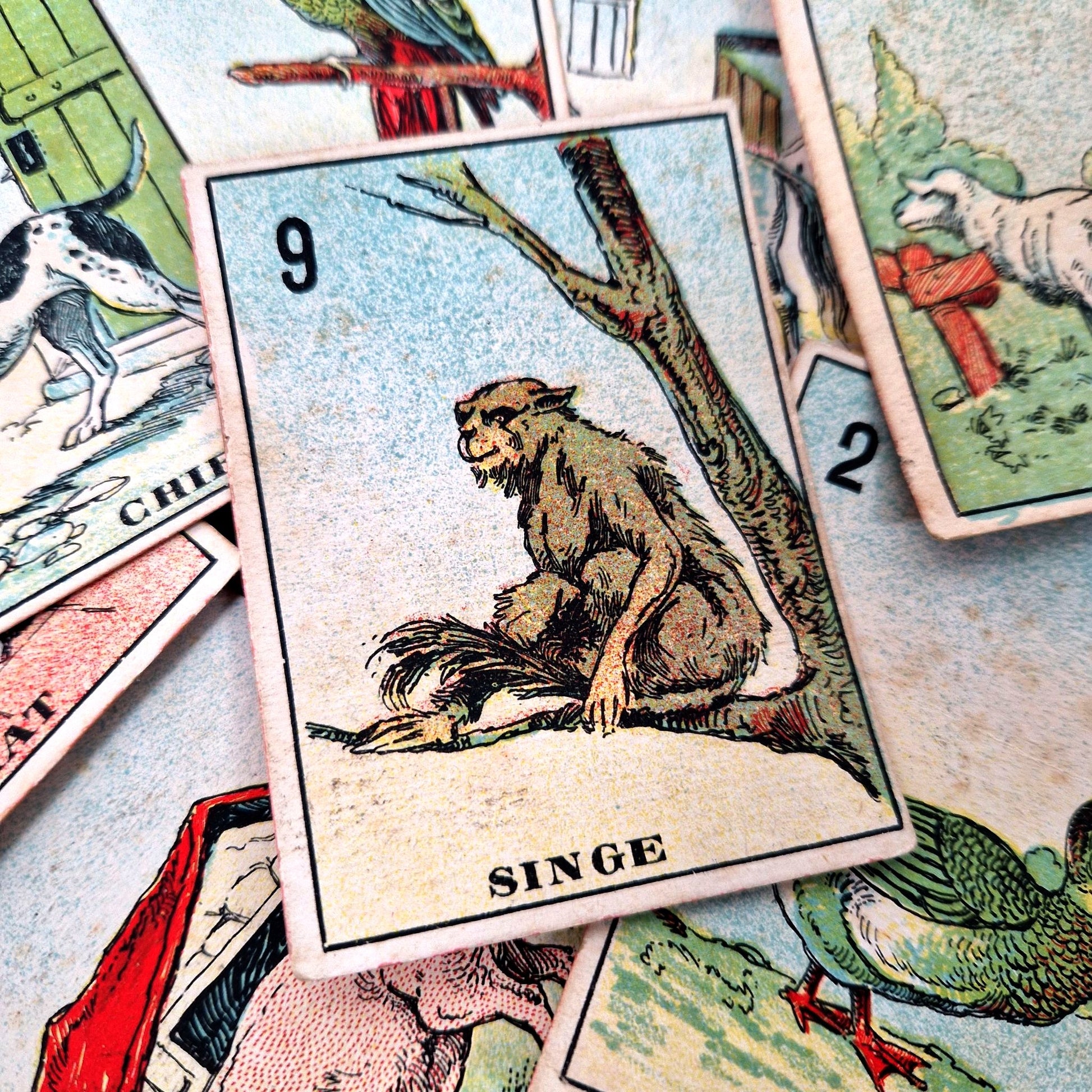 antique animal cards game 1900