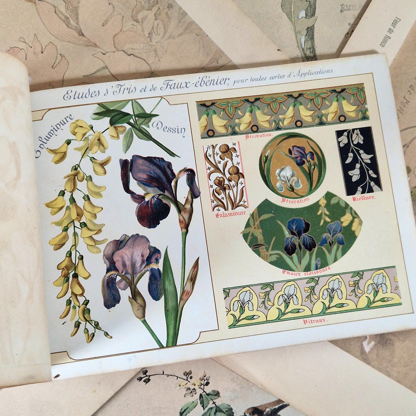 Flowers from Nature &amp; Ornamental Flowers - Ernest Guillot