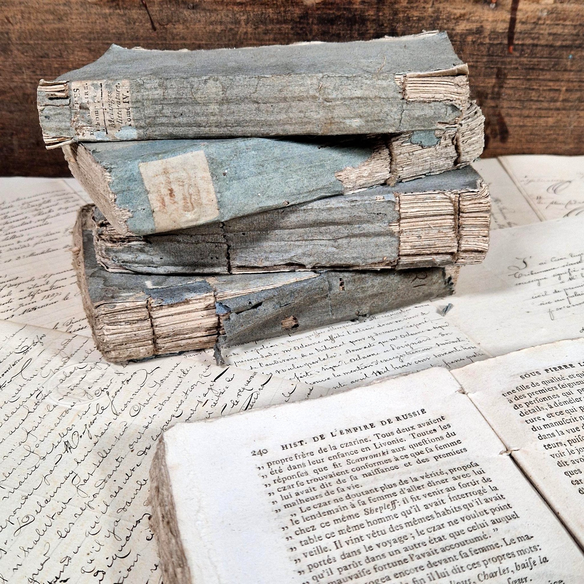 antique french books blue paper