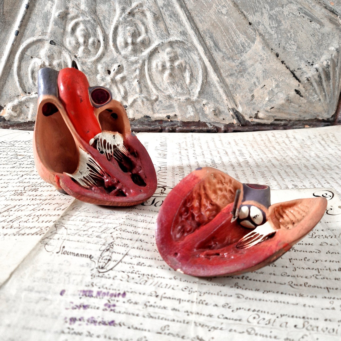 antique heart model france