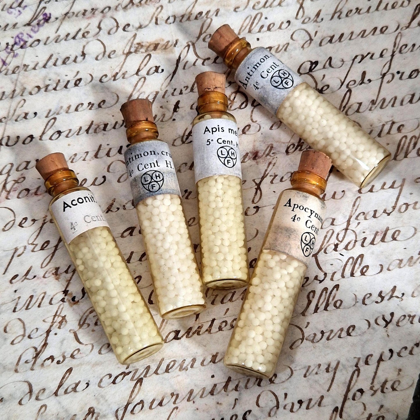 antique homeopathy case france