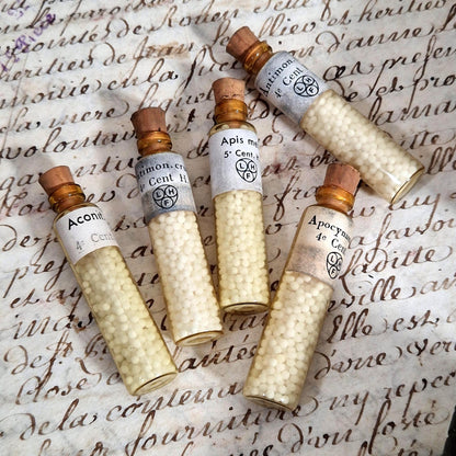 antique homeopathy case france