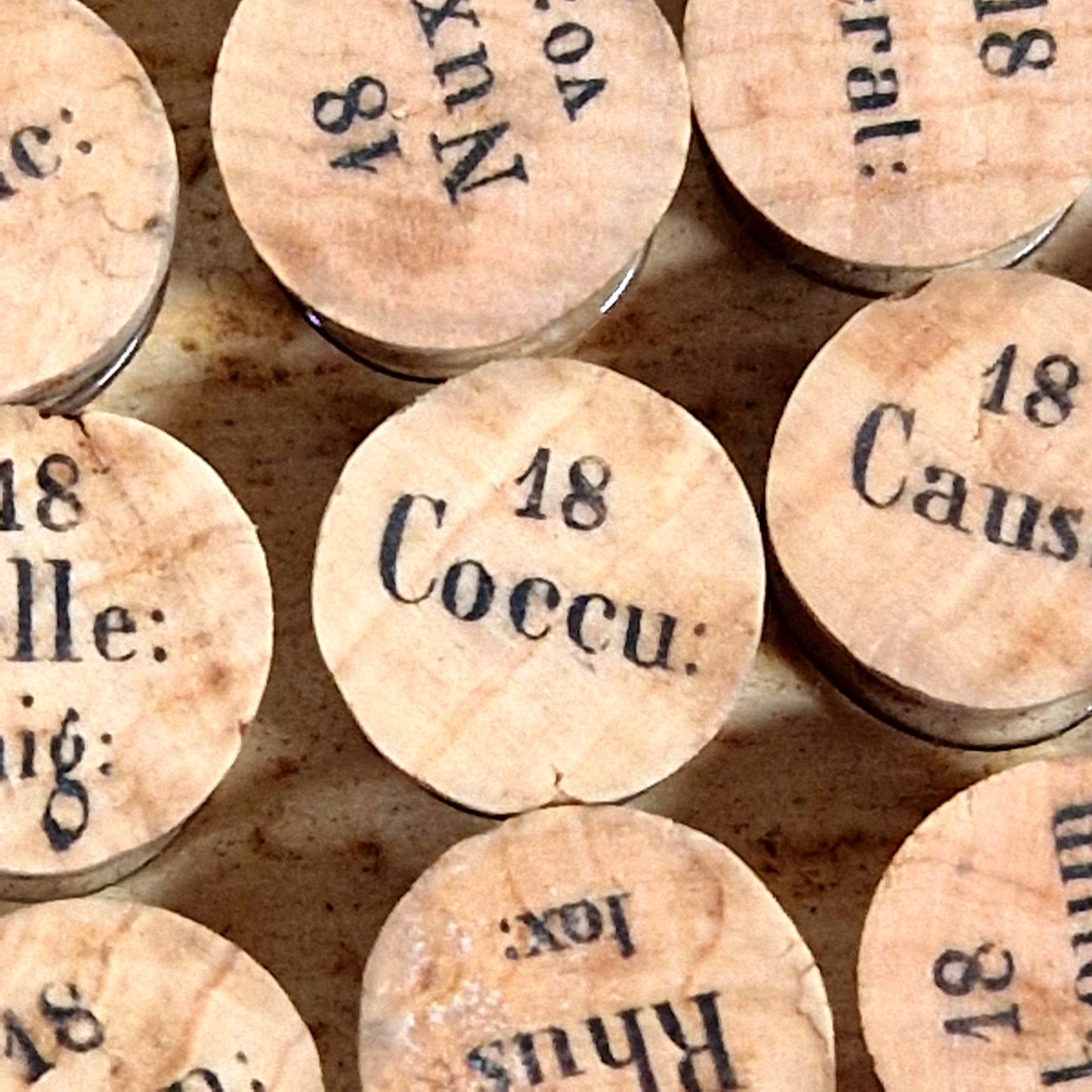 antique homeopathy kit cattelan