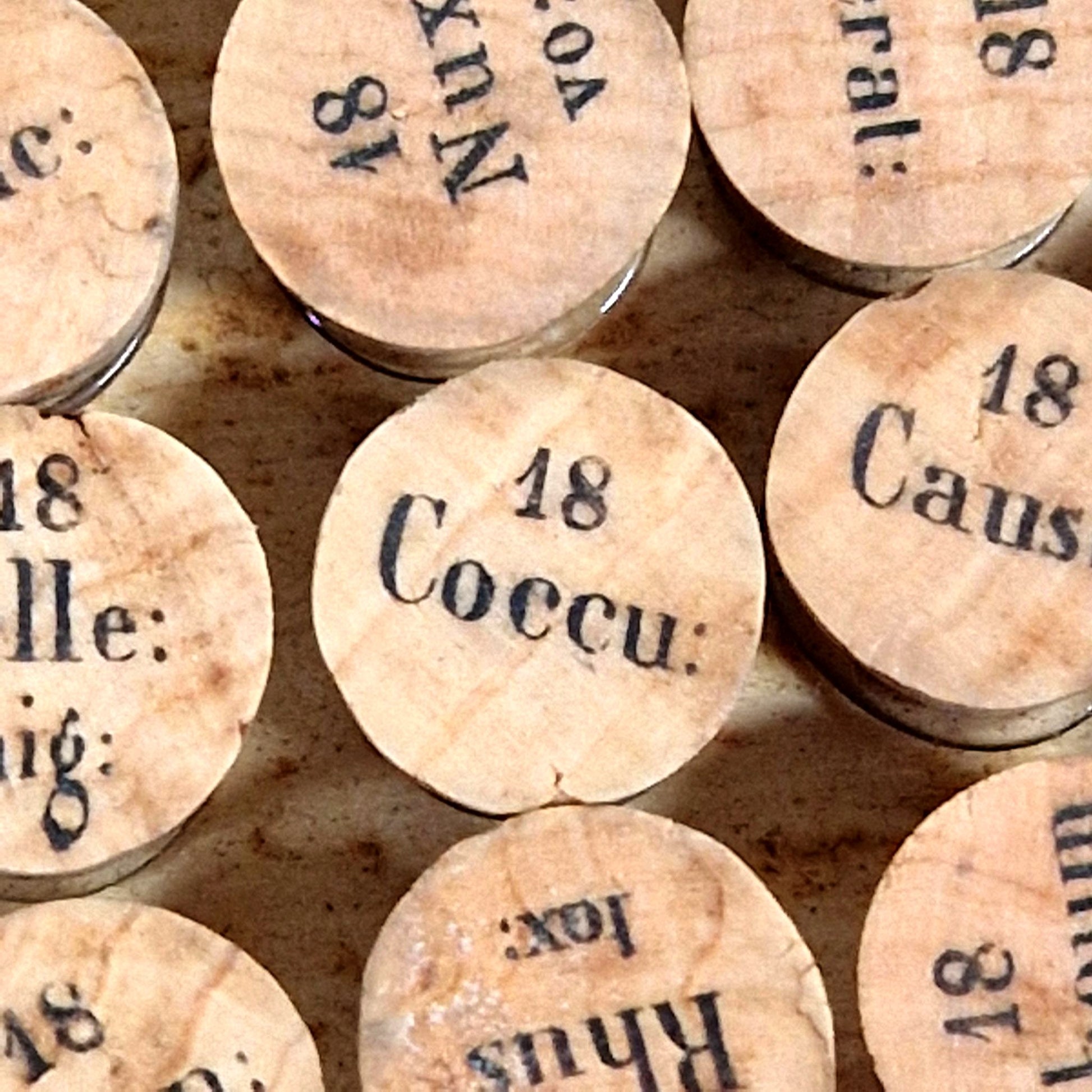 antique homeopathy kit cattelan