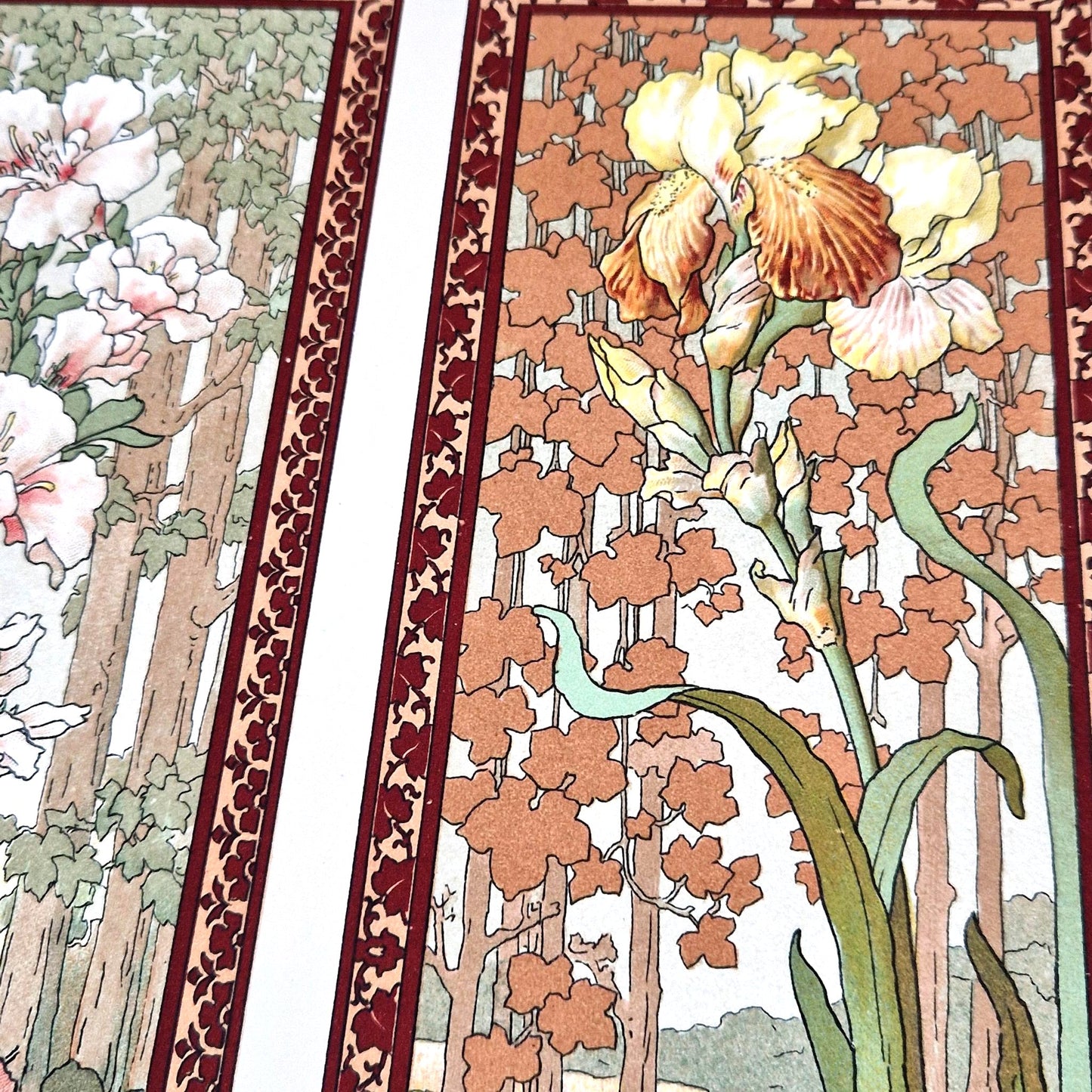 antique lithograph iris and azaleas calavas