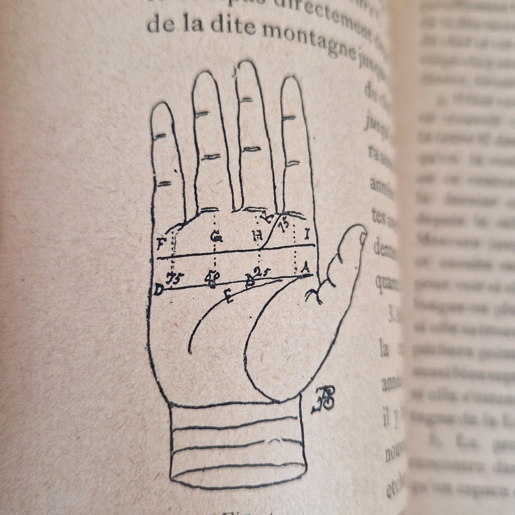 antique palmistry book chamuel 1895