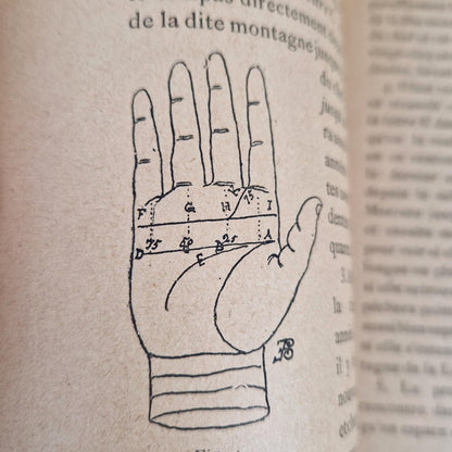 antique palmistry book chamuel 1895