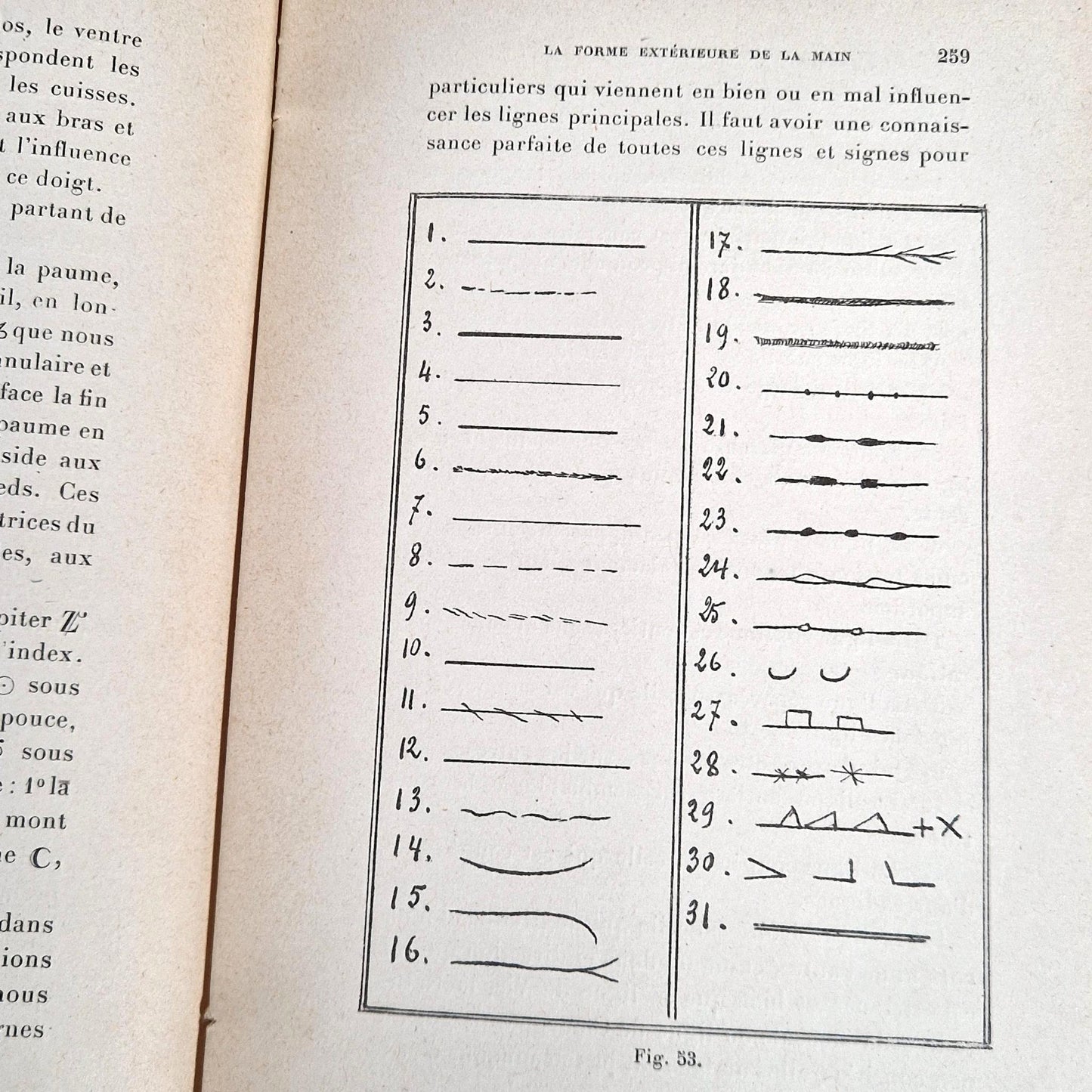 antique palmistry phrenology book