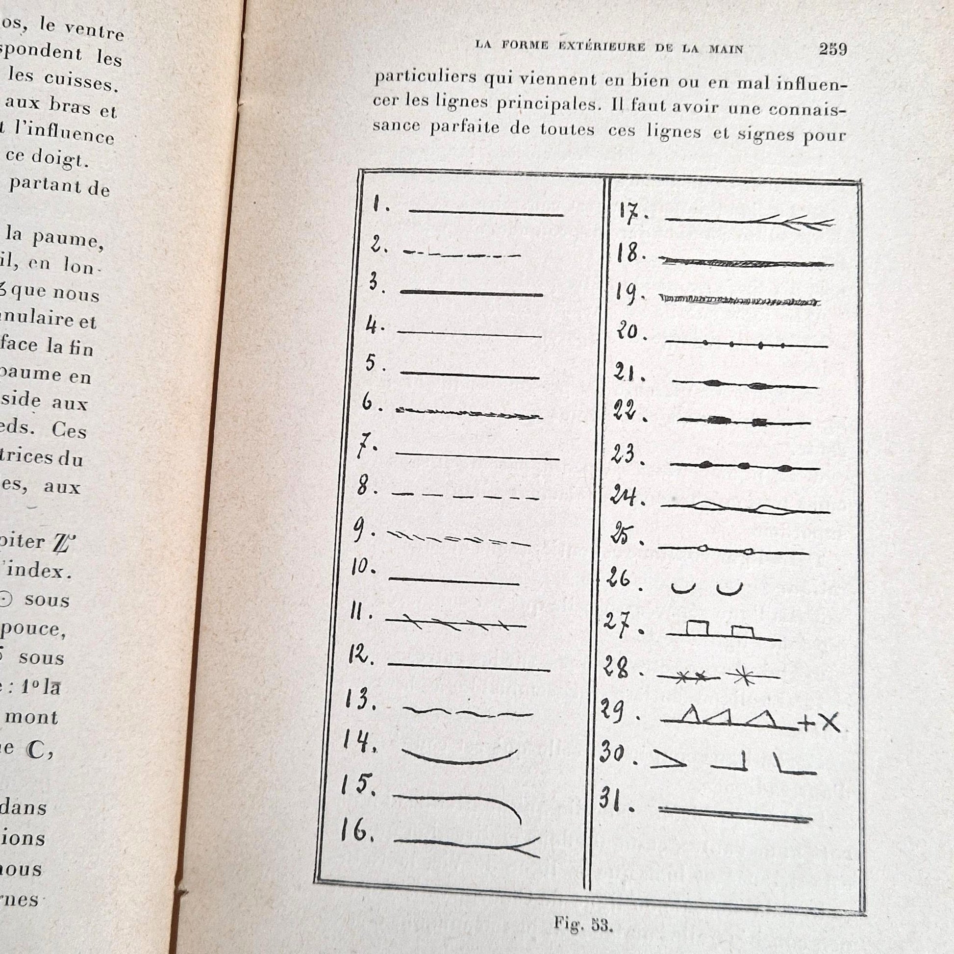 antique palmistry phrenology book