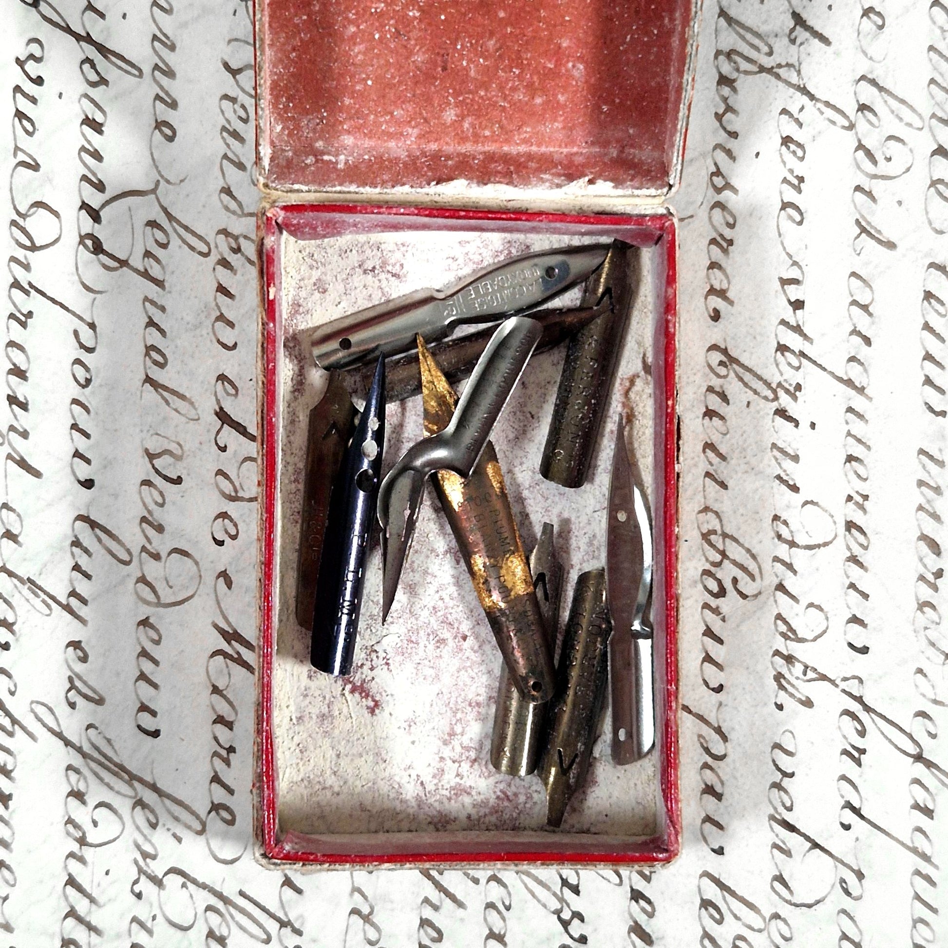 antique pen nibs box the tirailleur