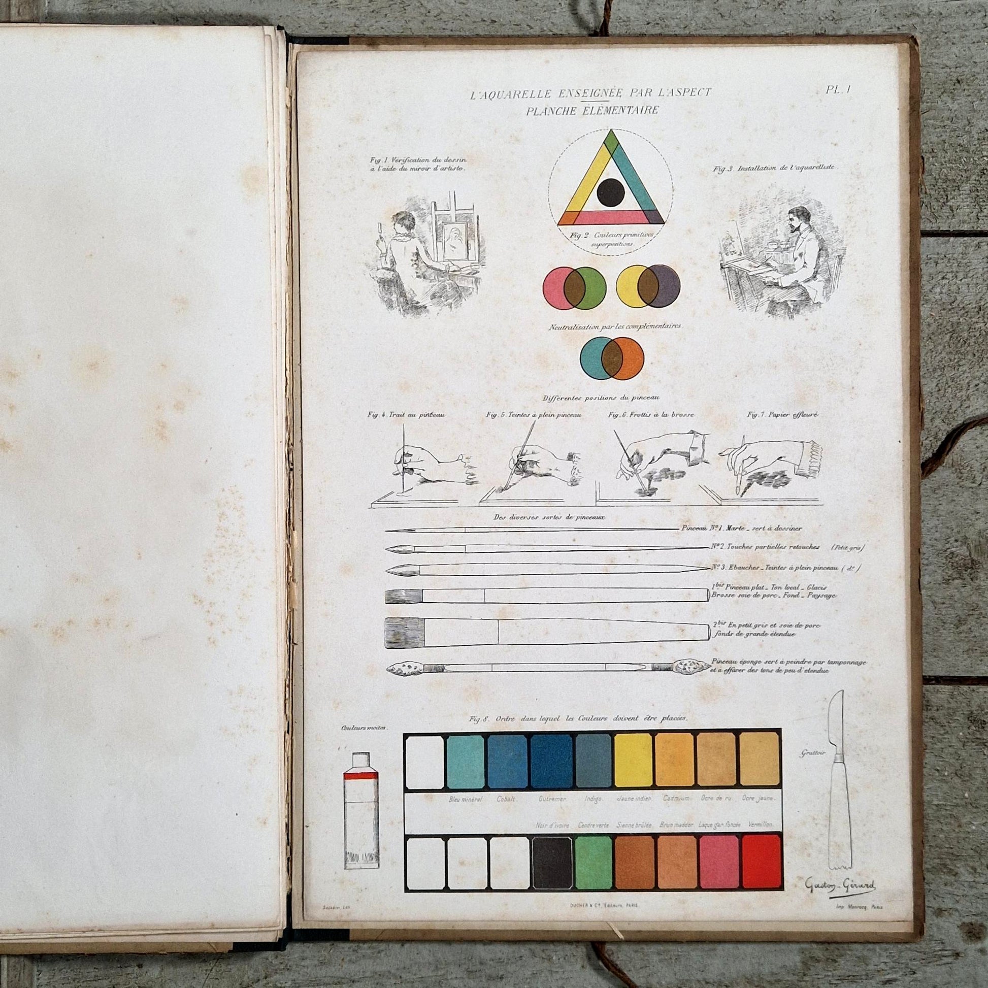 antique watercolor teaching plates