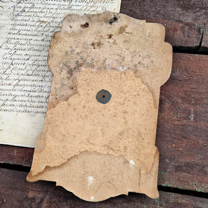 art nouveau dental chart brussels