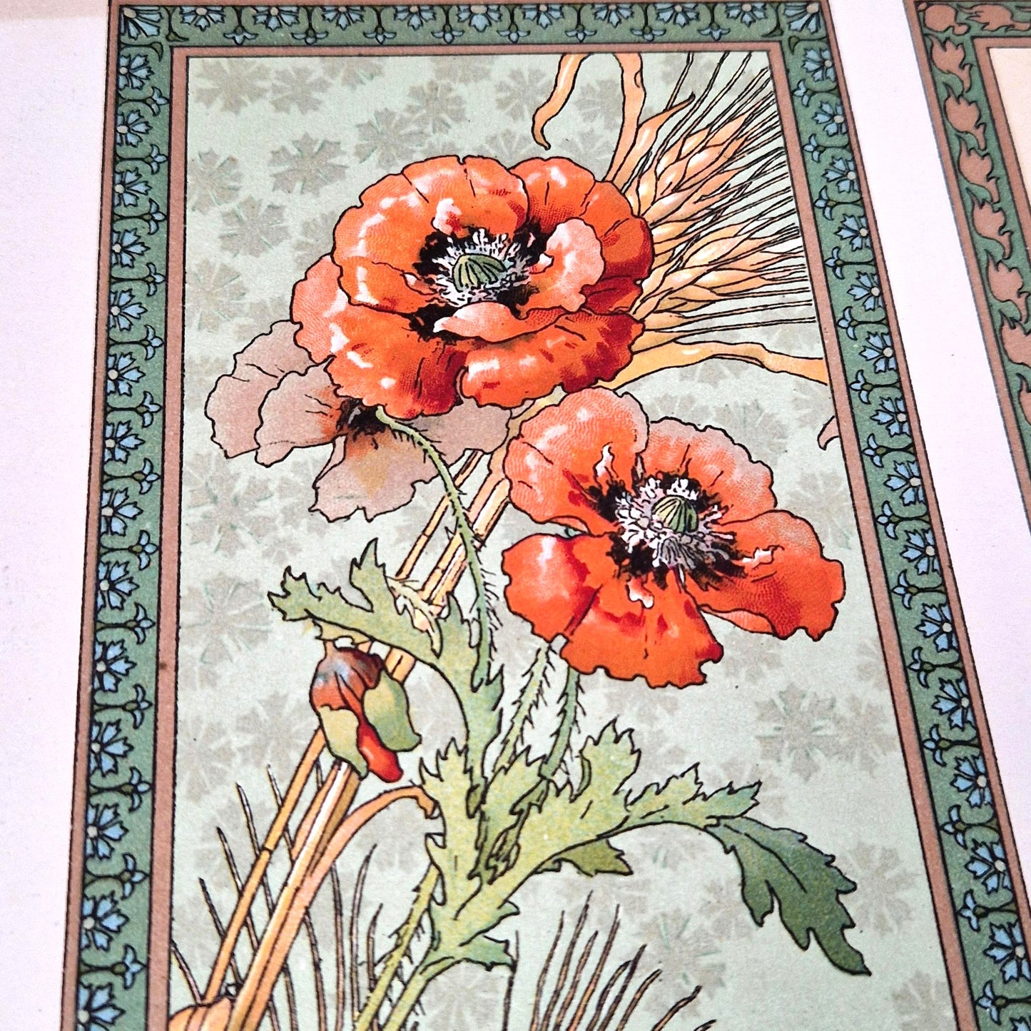 art nouveau floral panels calavas lithograph