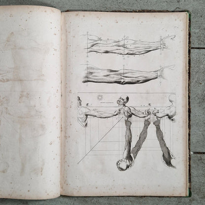 art of drawing cousin le clerc paris