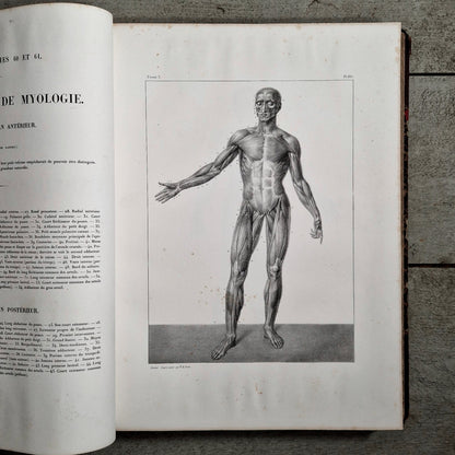 atlas anatomique medecine operatoire 1867