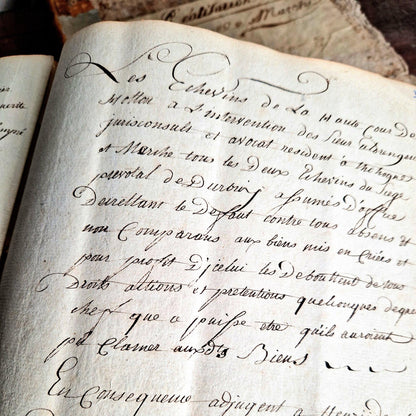 belgium luxembourg historical ledgers