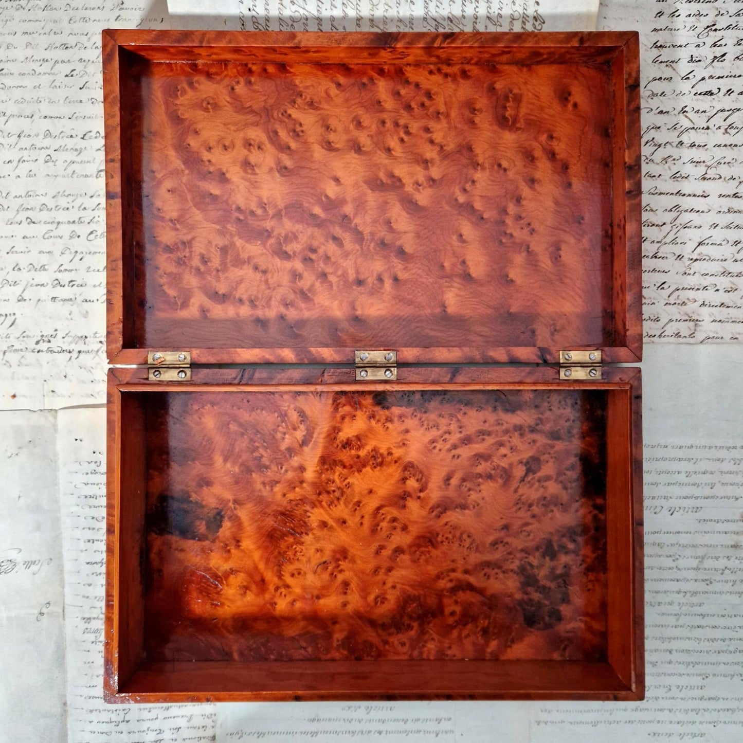 boite ancienne loupe d'orme vernie