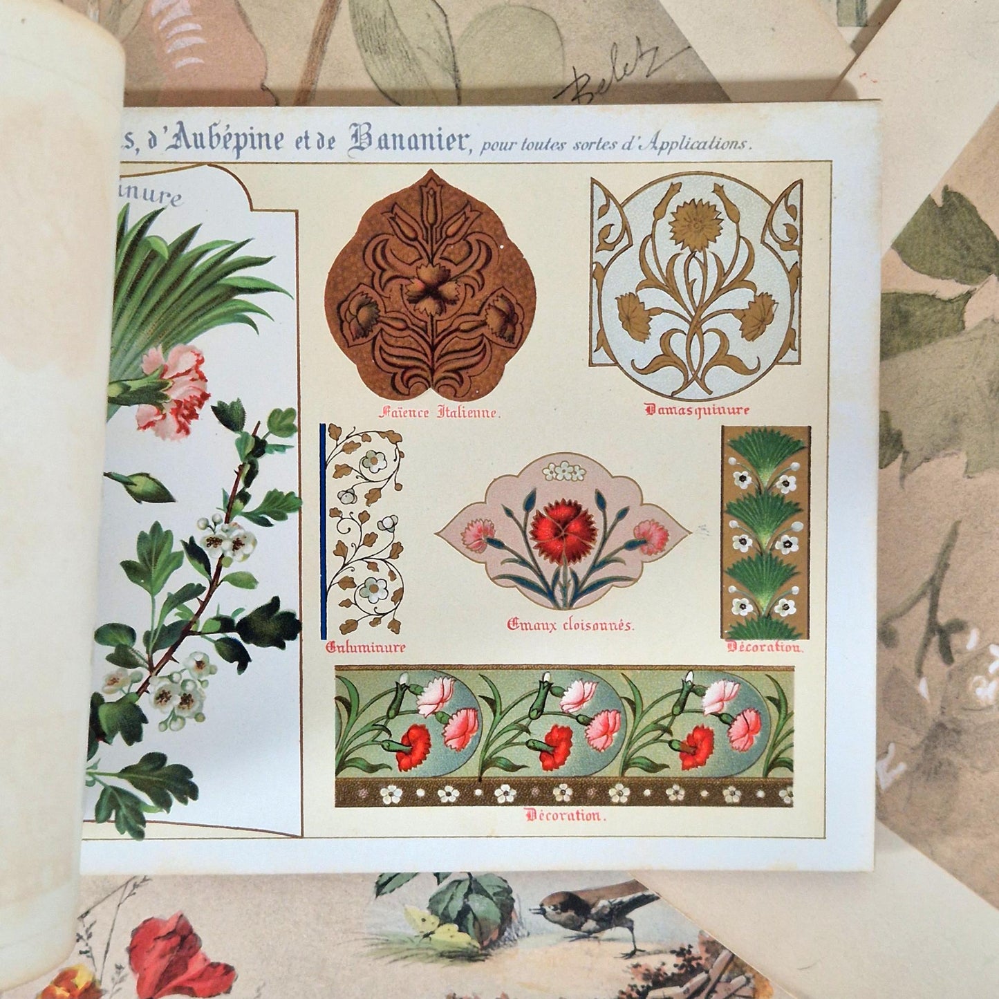 Flowers from Nature &amp; Ornamental Flowers - Ernest Guillot