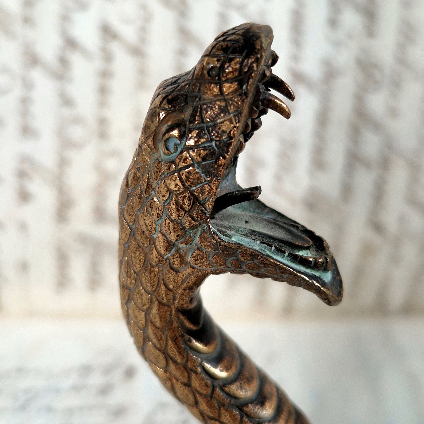 bronze serpent cabinet curiosités