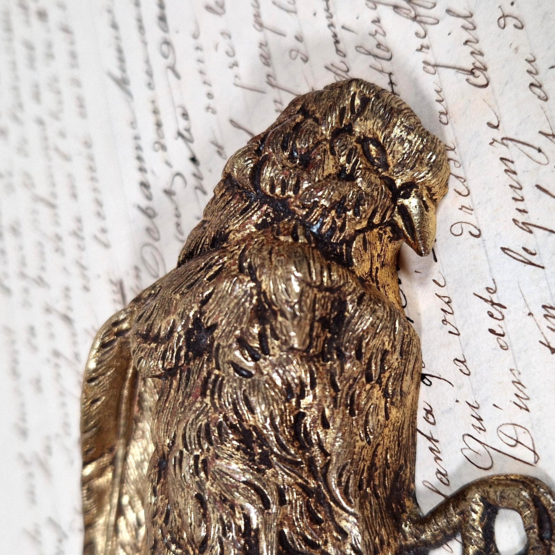 cabinet curiosity bronze bird