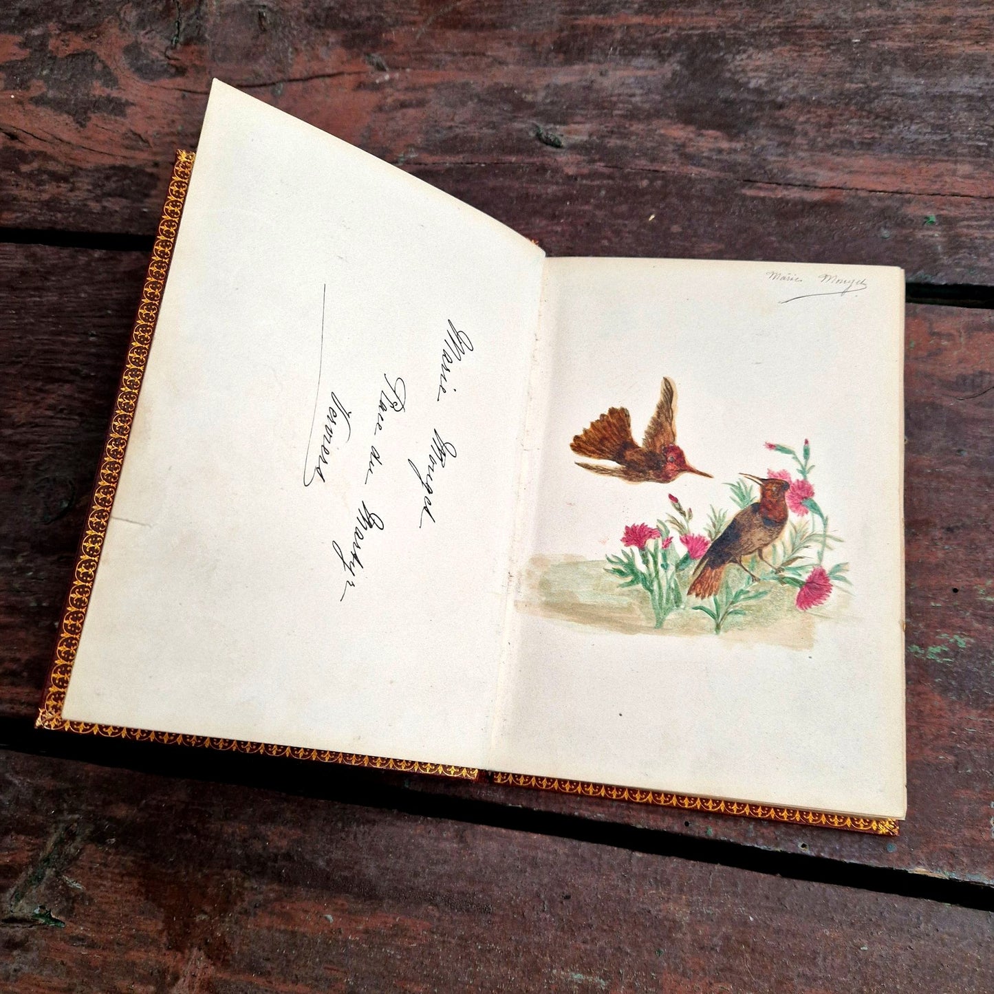 Carnet de poésie ancienne et dessin colibri