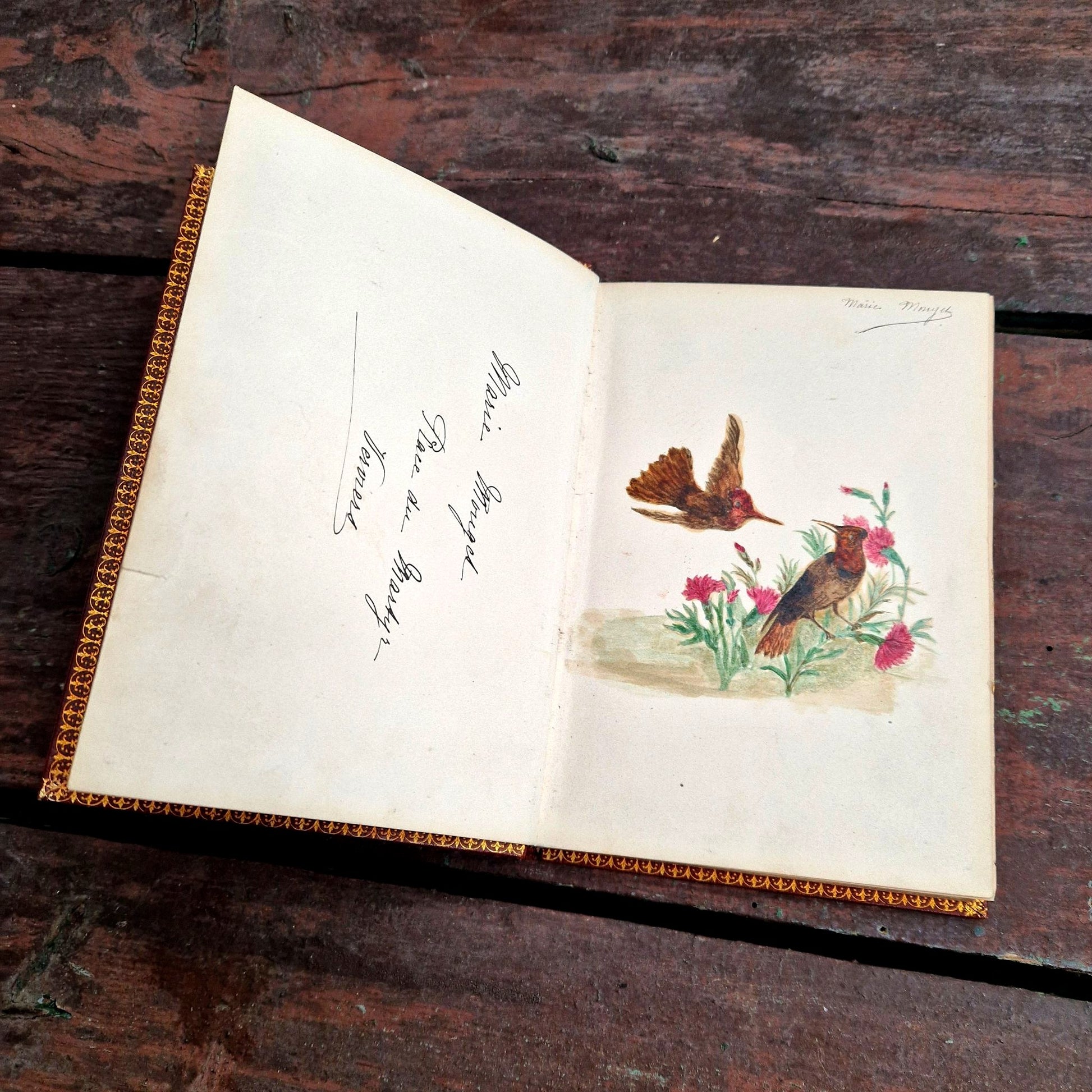 Carnet de poésie ancienne et dessin colibri