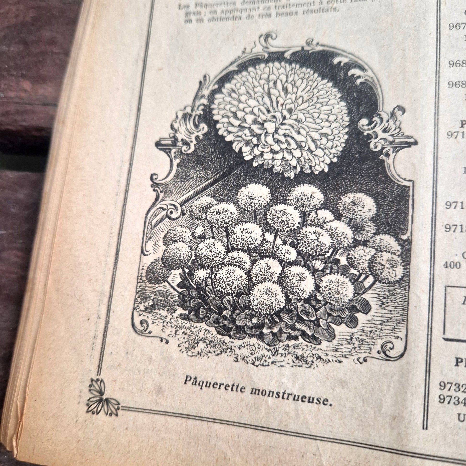 catalogue semences vintage rivoire lyon