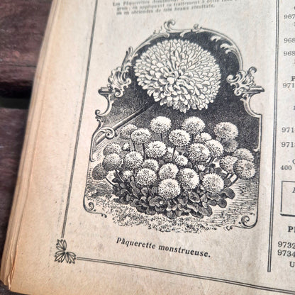 catalogue semences vintage rivoire lyon